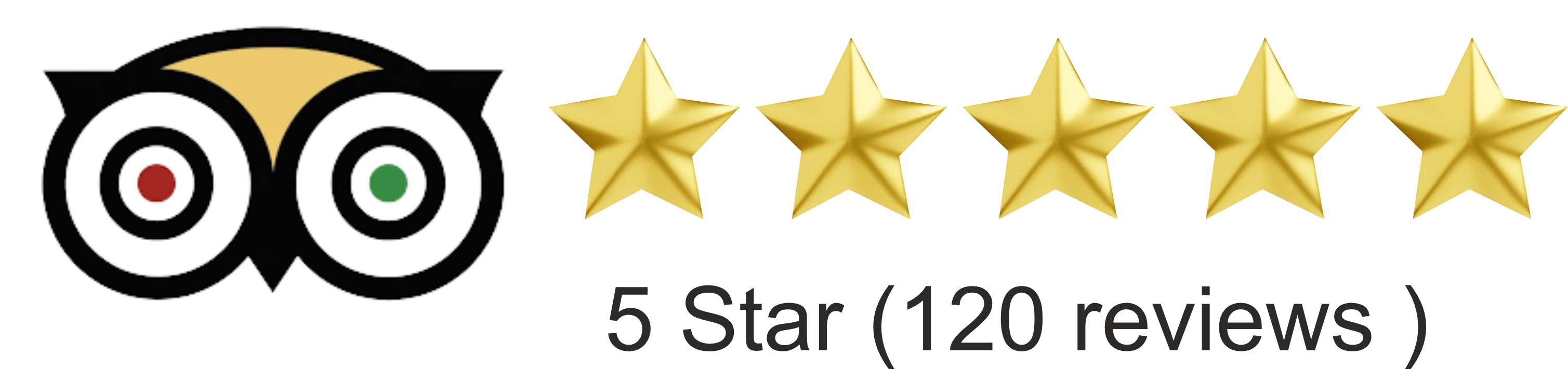 Trip Adviser Review 5 Star
